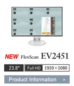 FlexScan EV2451