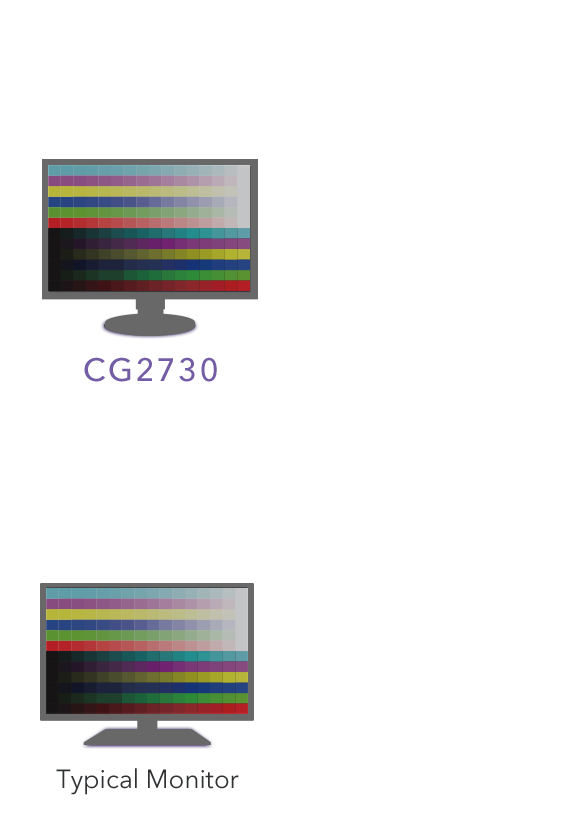 CG2730 Typical Monitor